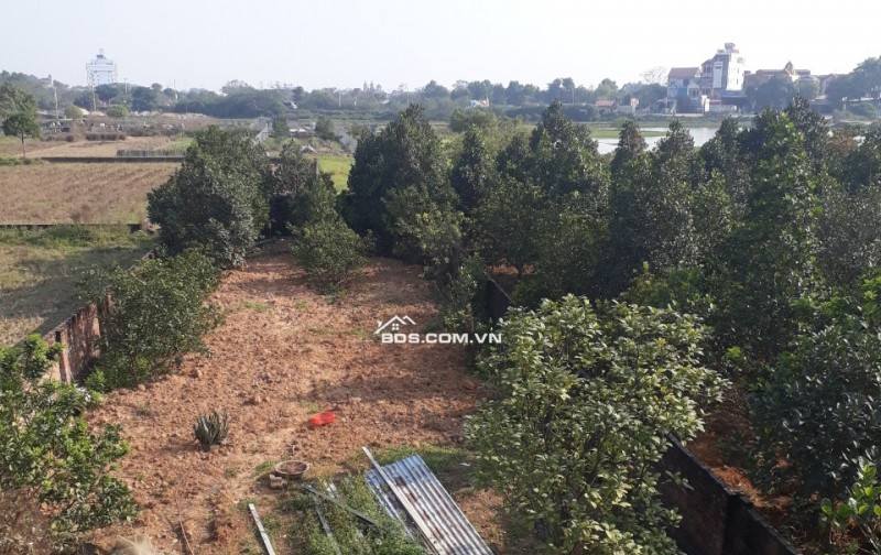 CHÍNH CHỦ CHO THUÊ ĐẤT TRỐNG 600M2 LÀM KHO BÃI XƯỞNG HAY CHĂN NUÔI CHÚC SƠN CHƯƠNG MỸ GIÁ 4TR/TH